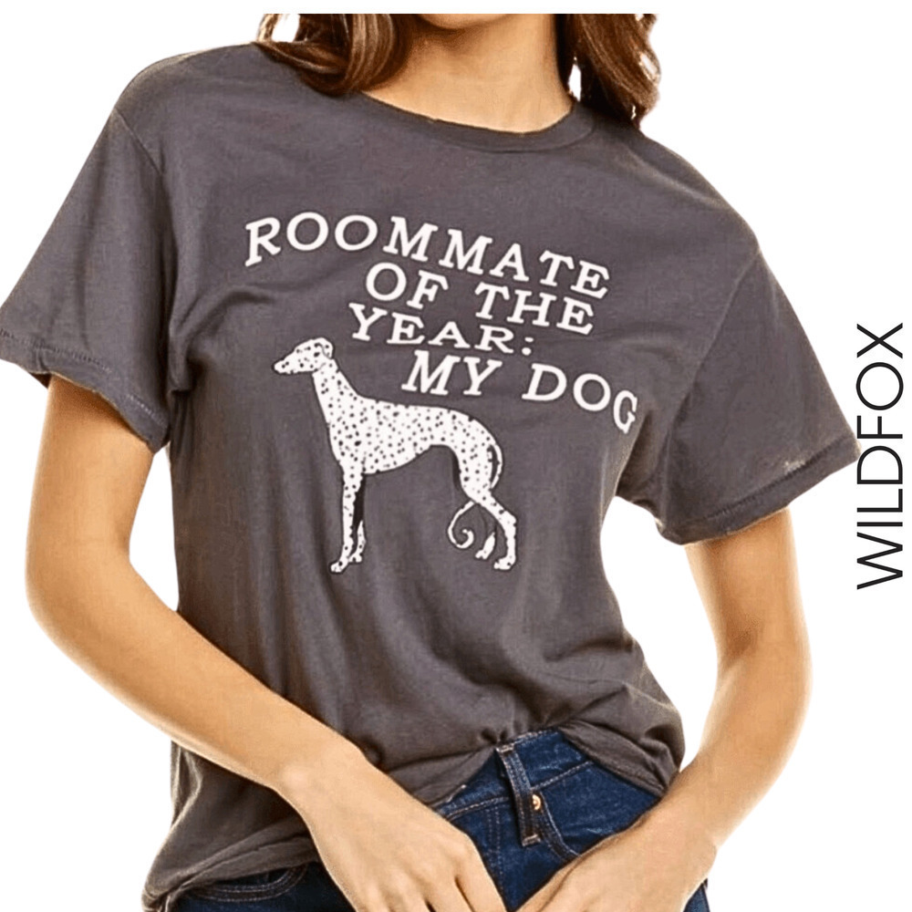 Wildfox NWT Roommate‎ Keke My Dog Distressed Graphic Short Sleeve Gray Tee Small